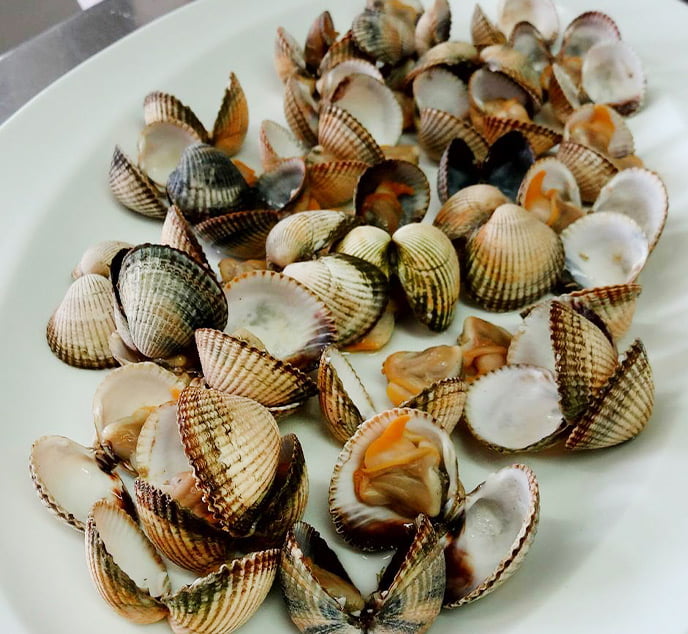 berberechos de la ria noia